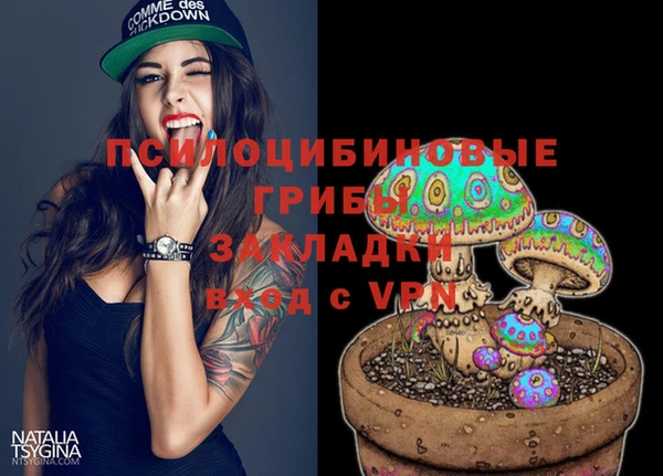 герыч Надым