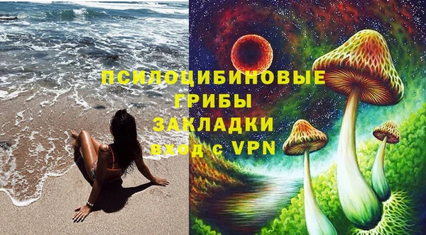 гидропоника Балабаново