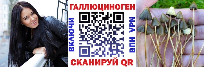 Галлюциногенные грибы MAGIC MUSHROOMS  Макушино 
