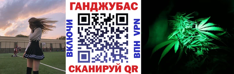 Бошки Шишки планчик Макушино